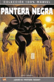 Pantera negra ¿Quién es pantera negra? características