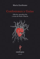 Confesiones y guías precio