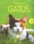 Gatos
