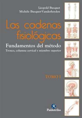 Las cadenas fisiológicas I