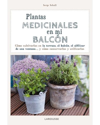 Plantas medicinales en mi balcón