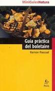 Guía practica del boletaire precio