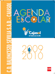 Sevilla caja. Agenda escolar 09/10 en oferta