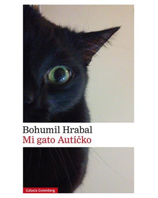 Mi gato Autícko