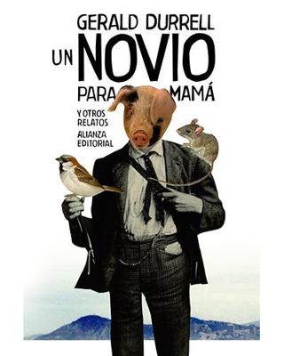 Un novio para mamá y otros relatos