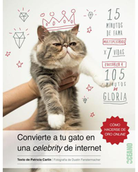 Cómo convertirtu gato en una Celebrity de internet en oferta