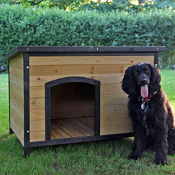 Zoo-xxl Eddy - Caseta para perro, madera de pino maciza, talla L precio