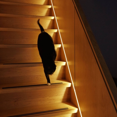 Innr tira LED Flex Light 4m, RGBW, driver LED