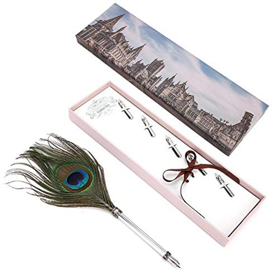 Pluma Pluma, Kit de Pluma de Plumas Caligráficas de Estilo Vintage Juego de Plumas de Pluma de Plumas Naturales para Regalo de Negocios Pluma de Estud