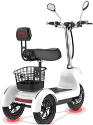 Xiaokang Pequeño Triciclo eléctrico Traslado Inicio Scooter para niños Adulto Mayor Doble Triciclo eléctrico,36V precio