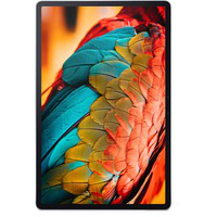 Tab P11 Pro 4G LTE 128 GB 29,2 cm (11.5") Qualcomm Snapdragon 6 GB Wi-Fi 5 (802.11ac) Android 10 Gris, Tablet PC en oferta