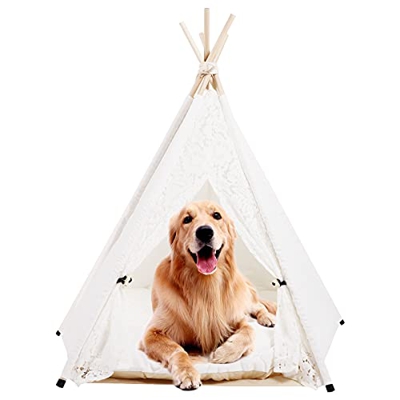 DEWEL Tienda para Perros Gatos, Tienda de campaña para Mascotas con cojín, Tienda para Mascotas Pequeño Mediano Grande