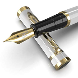 Wordsworth & Black Juego de pluma estilográfica, punta mediana, incluye 6 cartuchos de tinta y convertidor de recarga de tinta, estuche de regalo, bol en oferta