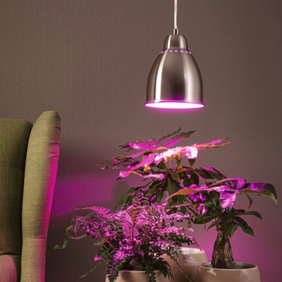 Paulmann Neordic Hilla colgante, hierro cepillado