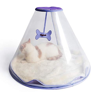 CHL Mascota Nido Transparente casa de Gato Tienda de Perro Gato Plegable Lavable casa de Gato Palacio de Cristal nido-10.24 (Color : Purple)