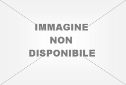 3037452 <p>	Zotac GeForce RTX 3060 Ti Twin Edge OC LHR e' una scheda grafica en oferta