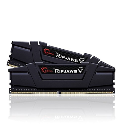 G. SKILL 16GB (2 x 8GB) DIMM DDR4 3200 (PC4 25600) Memory (F43200C16D16GVKB)
