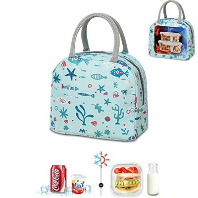 Bolsa térmica plegable, bolsa de picnic, bolsa de compras plegable, bolsa de picnic, bolsa de picnic, bolsa de almuerzo para hombres, bolsa de almuerz