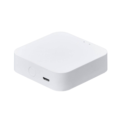 Bridge Access Box Smart Home LUTEC connect en oferta