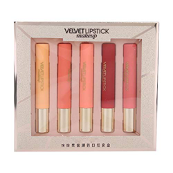 Set de barra de labios líquida mate de 5 piezas, taza antiadherente hidratante de larga duración bálsamo de labios profesional precio