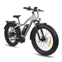 DERUIZ Lava Bicicletas eléctricas para Adulto, Fat Tire Bike de 26 Pulgadas Bici Todo Terreno, Bicicleta de Montaña con 48V 624Wh Batería de Litio ext características