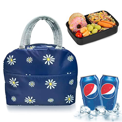 Bolsa térmica plegable, bolsa de picnic, bolsa de compras plegable, bolsa de picnic, bolsa de picnic, bolsa de almuerzo para hombres, bolsa de almuerz en oferta