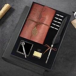 Quill - Juego de bolígrafos y tinta para caligrafía de plumas antiguas, incluye pluma de pluma, 5 puntas de repuesto, base de pluma, cuaderno, tinta,  precio
