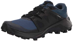 SALOMON Wildcross, Zapatillas de Senderismo Hombre, Azul (Dark Denim/Black/Navy Blazer), 41 1/3 EU en oferta