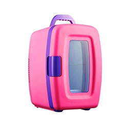 Nevera Eléctrica Portátil Outdoors Portátil Termoeléctrico Mini refrigerador Frigorífico y Calentador - Compacto de 10 litros AC/DC Bebida de alimento características