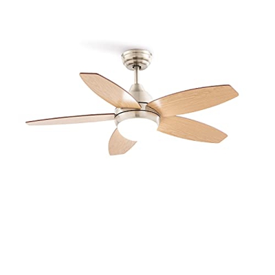 CREATE IKOHS FLOWOOD - Ventilador de Techo, Silencioso, Potente, 5 Aspas, Mando a Distancia, 107 cm de Diámetro, 3 Velocidades, Temporizador, Aspas de