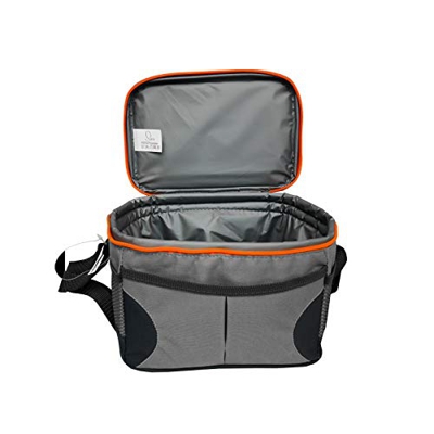 SVITA Nevera pequeña de 5 litros, bolsa isotérmica, bolsa para el almuerzo, bolsa térmica con correa, color gris