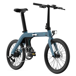 FIIDO Bicicleta eléctrica plegable D11 recargable, bicicleta eléctrica plegable, bicicleta eléctrica para exteriores, 30 km/h, 36 V, 11,6 Ah, 250 W, m precio