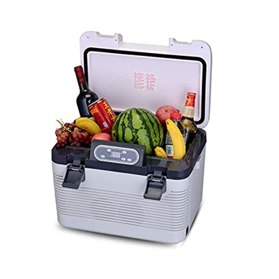 Z-DYQ Nevera Eléctrica Portátil Refrigerador de Nevera portátil 19L 2 4V / 12V / 220V Mini refrigerador de refrigerador más Caliente portátil Compacto