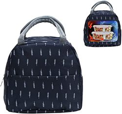Bolsa térmica plegable, bolsa de picnic, bolsa de compras plegable, bolsa de picnic, bolsa de picnic, bolsa de almuerzo para hombres, bolsa de almuerz características