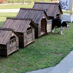 Caseta Perros Exterior, Casa para Perros Exterior, Caseta de Jardín para Perro Grande/ Mediana/Pequeña, Impermeable Casa Perro Caseta Perros Interior  precio