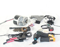 Motor de Cepillo L-Fast 250W para Acelerador de Bicicleta con Interruptor de Llave y Kit de Motor Simple de Voltaje para Bicicleta eléctrica DIY (24V  en oferta
