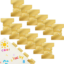 24 Piezas Índices Adhesivos Pestañas de Calendarios Etiquetas Adhesivas Mensuales Pegatinas de Agenda de Meses Etiquetas Separadoras Mensuales Metálic precio