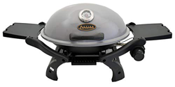 ACTIVA Barbacoa de gas de mesa de gas, parrilla de mesa de gas, parrilla de camping, quemador de 3,4 kW, barbacoa de mesa para exteriores, color gris características