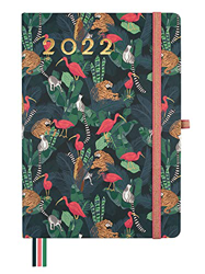 Finocam - Agenda 2022 1 Día Página, de Enero 2022 a Diciembre 2022 (12 meses) MA5 - 148x210 mm Mínimal Design Selva Español características