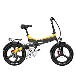 LANKELEISI G650 Bicicleta eléctrica Plegable de 20 Pulgadas 400W 48V 14.5Ah Batería de ión de Litio 5 Nivel Pedal Assist Suspensión Completa (Negro Am características