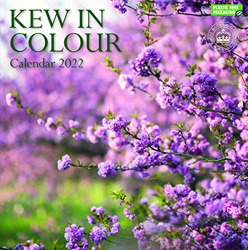 Royal Botanic Gardens Kew, Kew in Colour Square Wall Calendar 2022 características