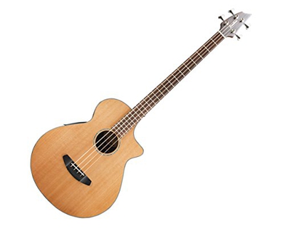 Breedlove solo Jumbo Bass CE Western Red Cedar – Oriental madera de palisandro Guitars Fretless – Bajo electroacústico