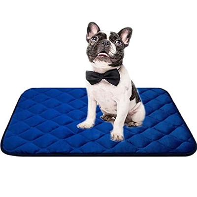LXXCW Colchoneta para cama perros suave jaulas con fondo antideslizante Colchón mascotas lavable a máquina dormir grandes (Color : A, Size : XL 121x76