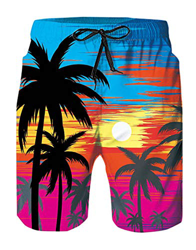 Spreadhoodie Cocotero Bañador Hombre Chico Playa Poliéster Pantalon Corto Hombre Deporte Vacaciones Secado Rápido Bañadores Natacion Ligero Moda Short en oferta