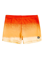 Quiksilver - Everyday Swimmer Bañador de Natación para Adulto características