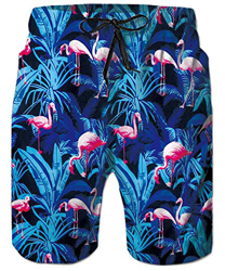 ALISISTER Bañadores de Natación Hombre 3D Gracioso Flamenco Pantalones Corto Poliéster Secado Rápido Ligero Swim Shorts M características