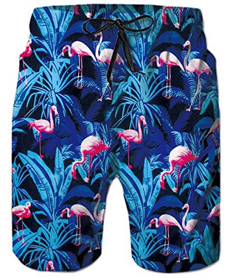 ALISISTER Bañadores de Natación Hombre 3D Gracioso Flamenco Pantalones Corto Poliéster Secado Rápido Ligero Swim Shorts M