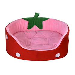 JULAN Fresa Mascota Gato Cama Cama de Perro Calentamiento casa de Perro Linda Fruta Mascota Perrito Perrito Perro Madre sofá pequeño Perro Mediano Mas precio