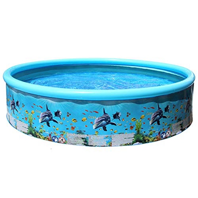 Piscina hinchable con diseño de estanque con peces océanos y bañera para adultos con rueda rígida