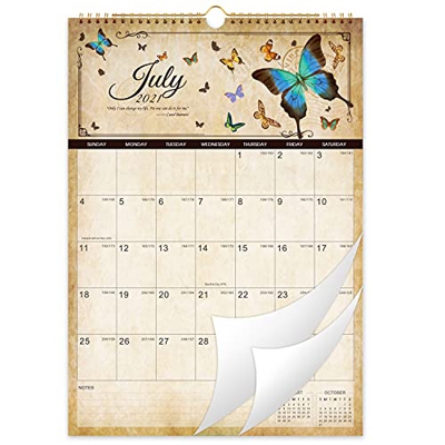 Calendario de pared 2021-2022, calendario de pared con vista mensual, calendario de 18 meses de julio de 2021 a diciembre de 2022, 43 x 30 cm, calenda
